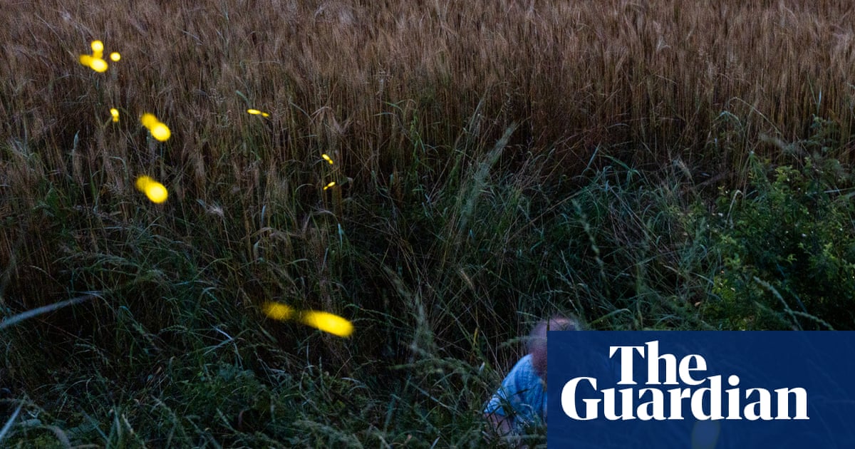 Lights out: can we stop glow-worms and fireflies fading away? | Endangered species