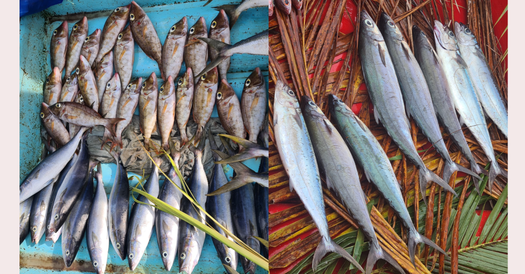 Local fish vendors call for proper space