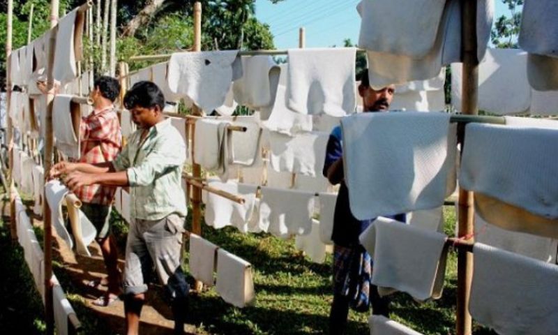 Logistics challenges stall growth of rubber-based industries in Tripura