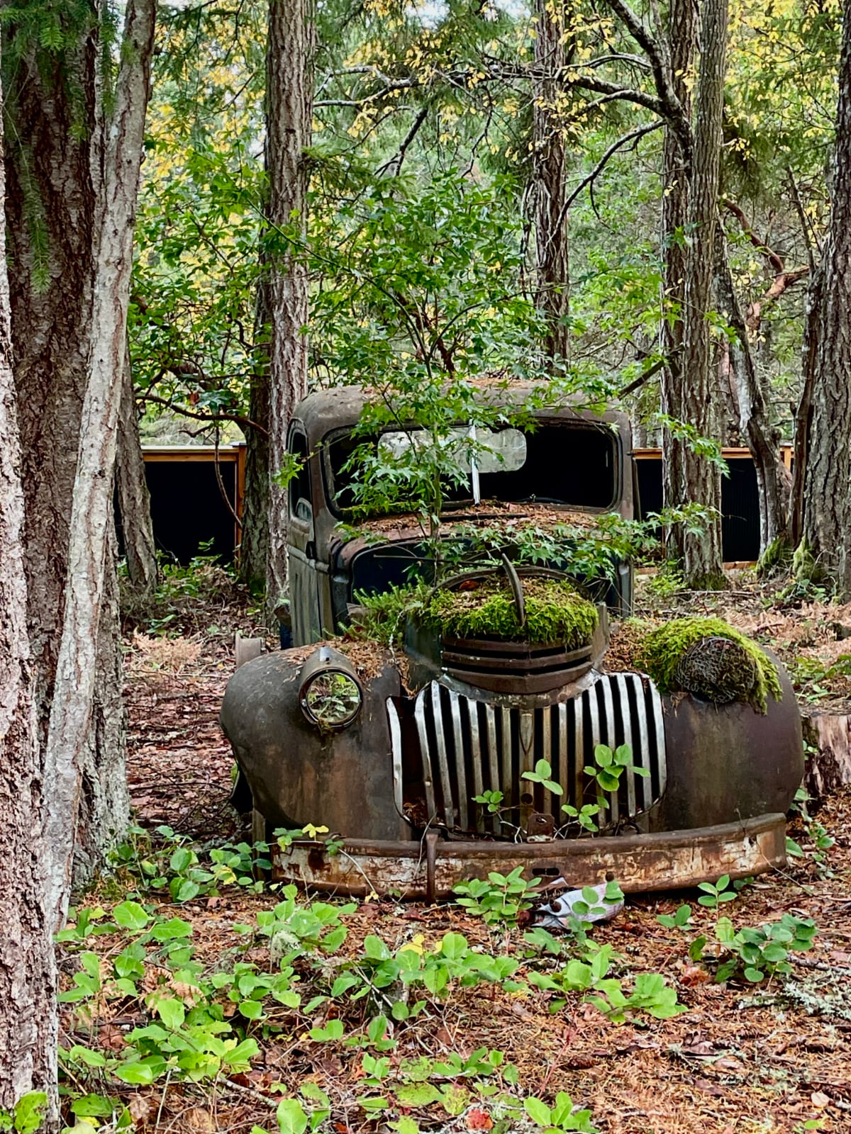 Lost in Time, British Columbia, Canada - Photo of the Day