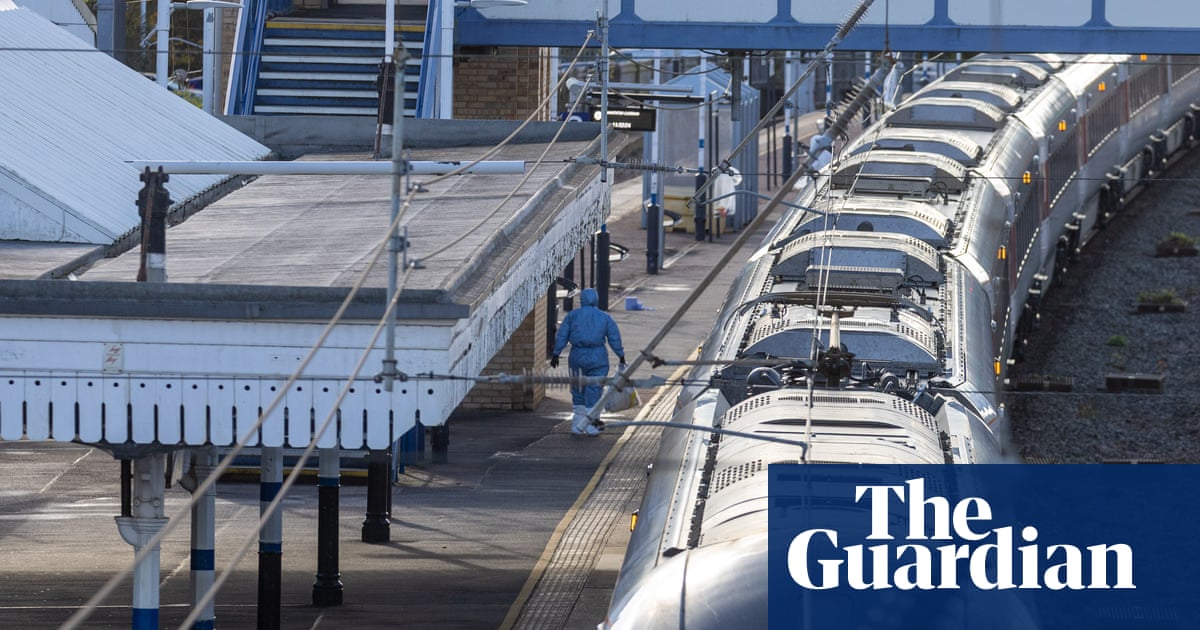 Man due in court after mass stabbing on train in Cambridgeshire | UK news