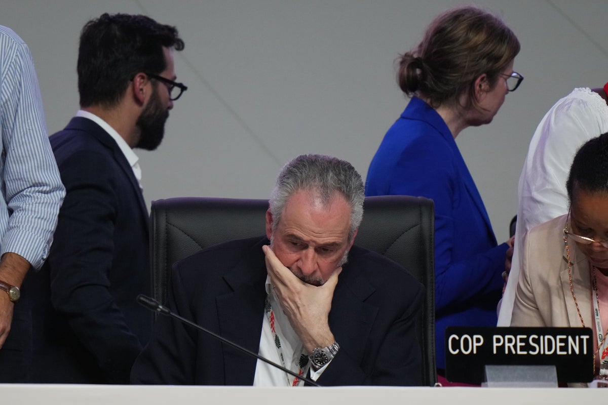 Many hoped UN climate talks in Brazil would be historic. They may be remembered as a flop