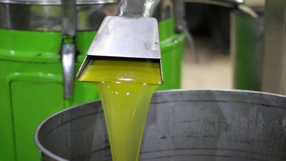 Ministry of Agriculture Opens Olive Oil Import Applications Du...