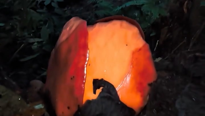 Video Player Placeholder