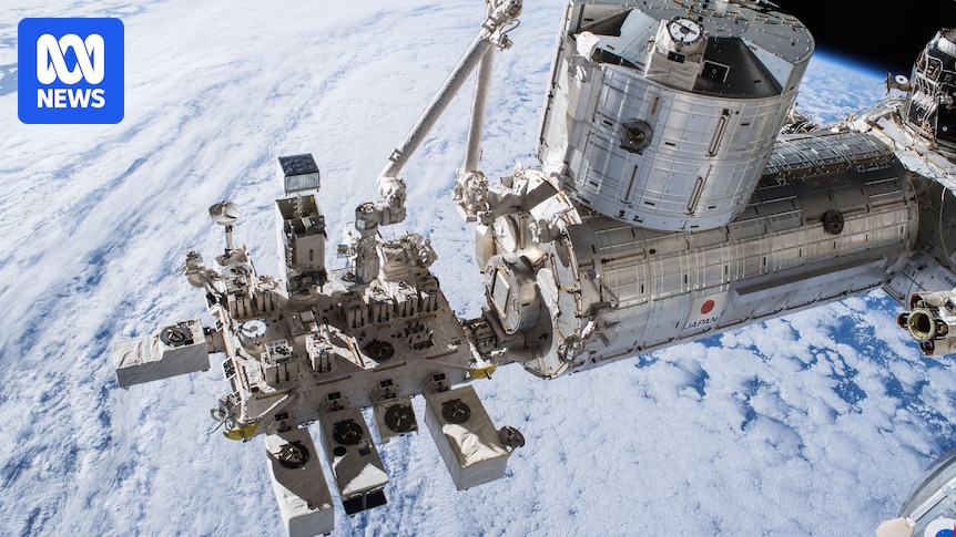 Moss survived nine months in space outside the ISS before returning to Earth