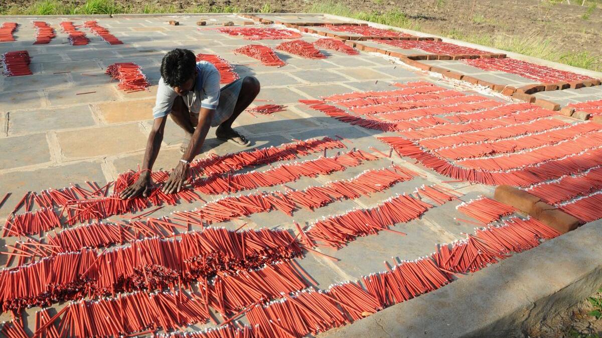 NGT seeks report from govt.on safety in firecracker units