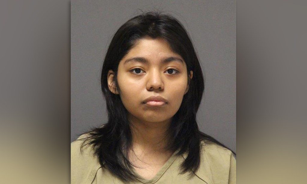 New Jersey woman stabbed 2-year-old brother in chest: cops