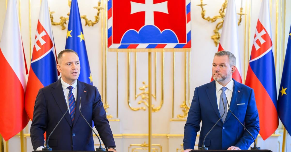 News digest: Plugged Into Poland, Tripping Over Politics