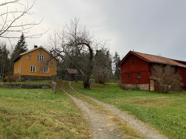 Norway's tariffs keep food prices high