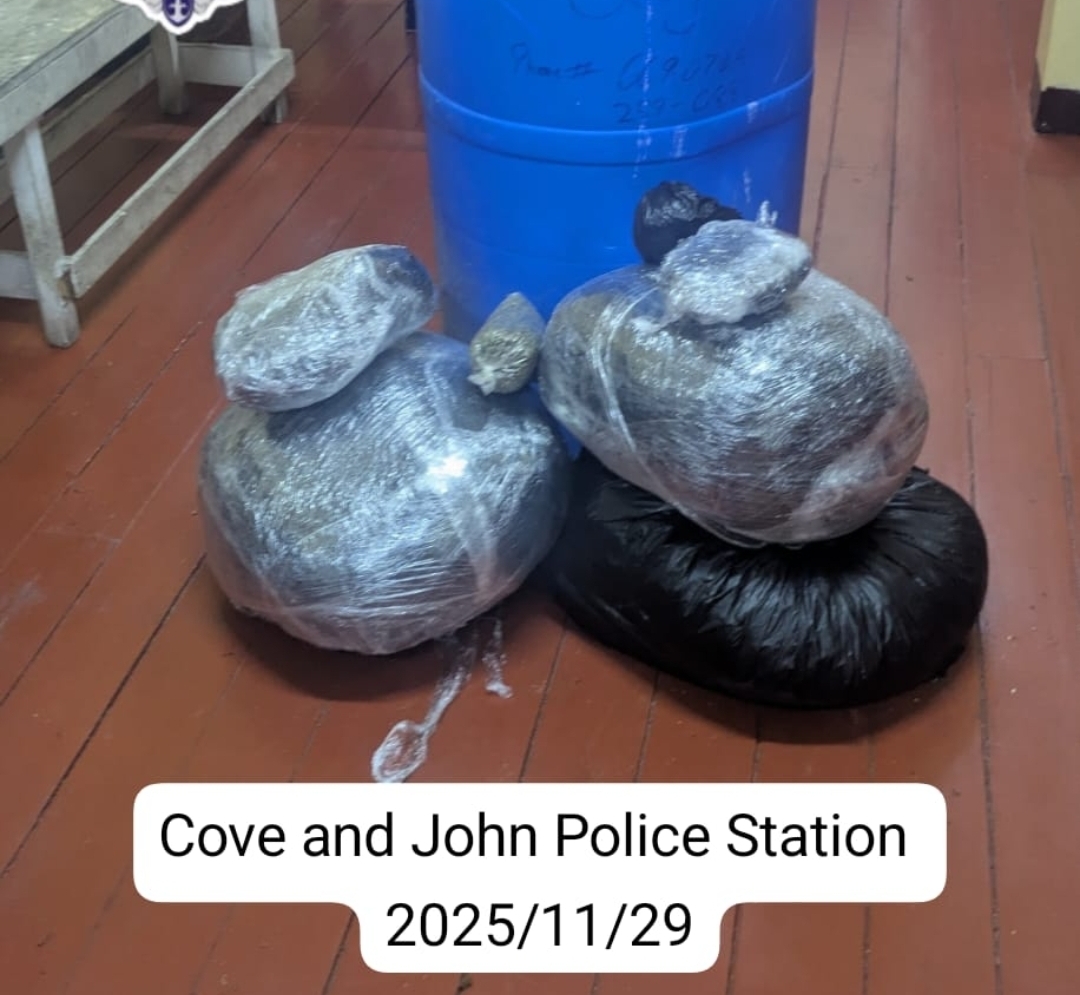 Over 114lbs of ganja found at Clonbrook
