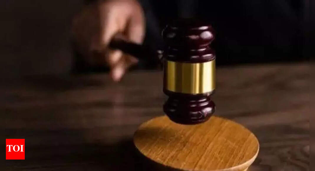 Petitioners pick SIR over EC, SC to hear on November 11 | India News