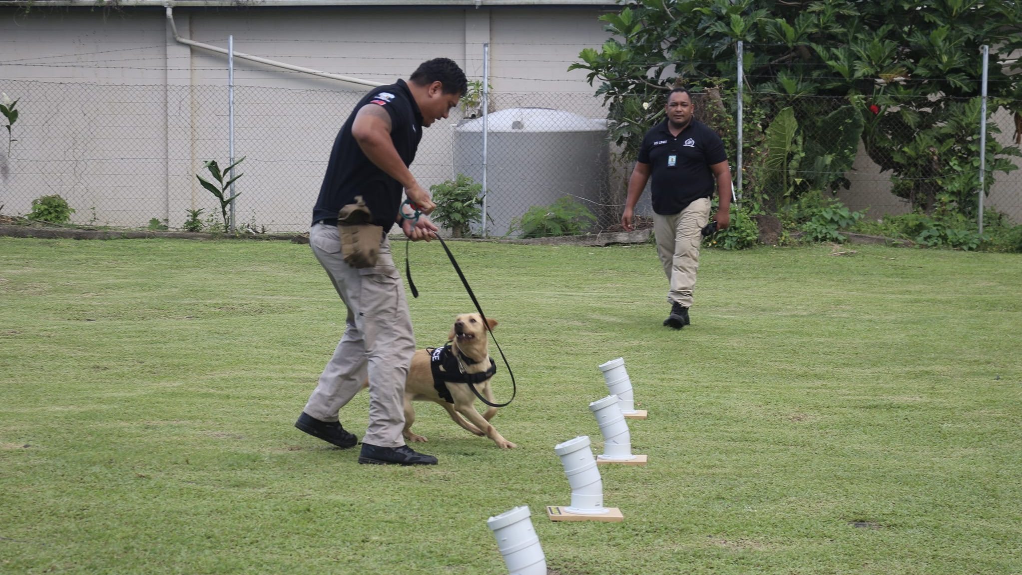Police K-9 Estelle is being treated for suspected overdose