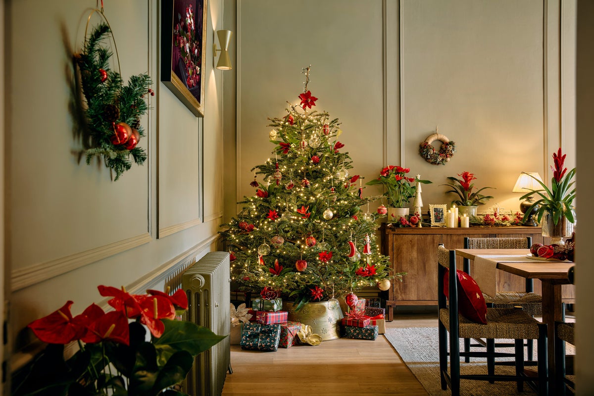 Real Christmas trees for the budget-conscious