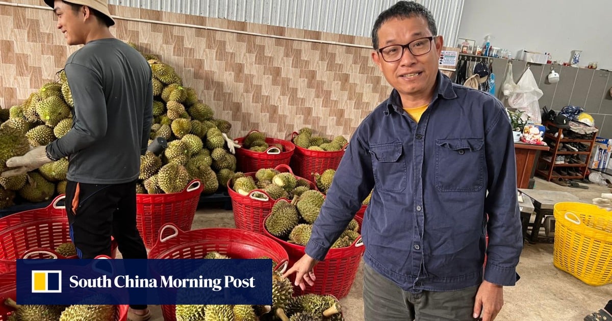 Reporter’s notebook: how China helps a Vietnamese durian farmer earn US$30,000 per hectare