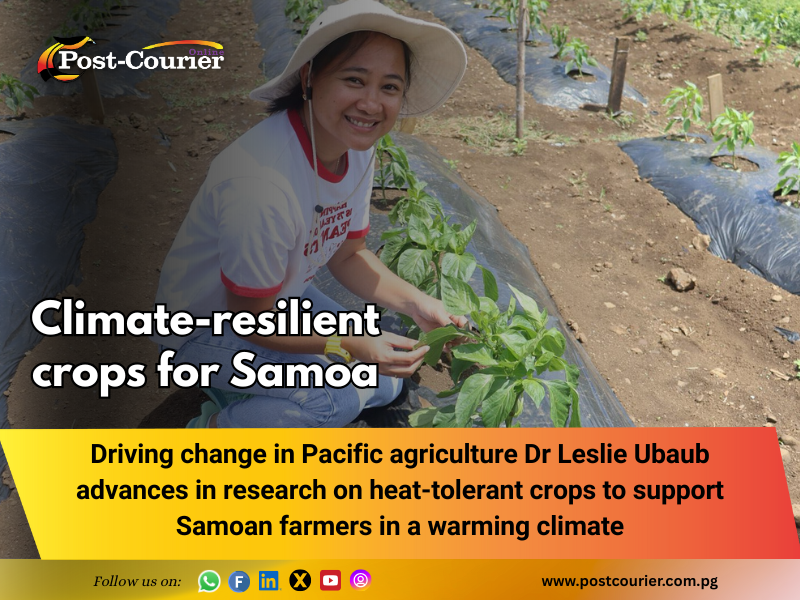 Research leads innovation in climate-resilient crops for Samoa
