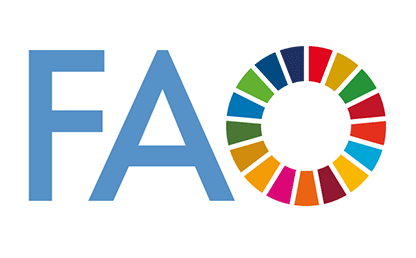 Saint Lucia’s Cocoa Sector Ripe for Development, FAO Finds