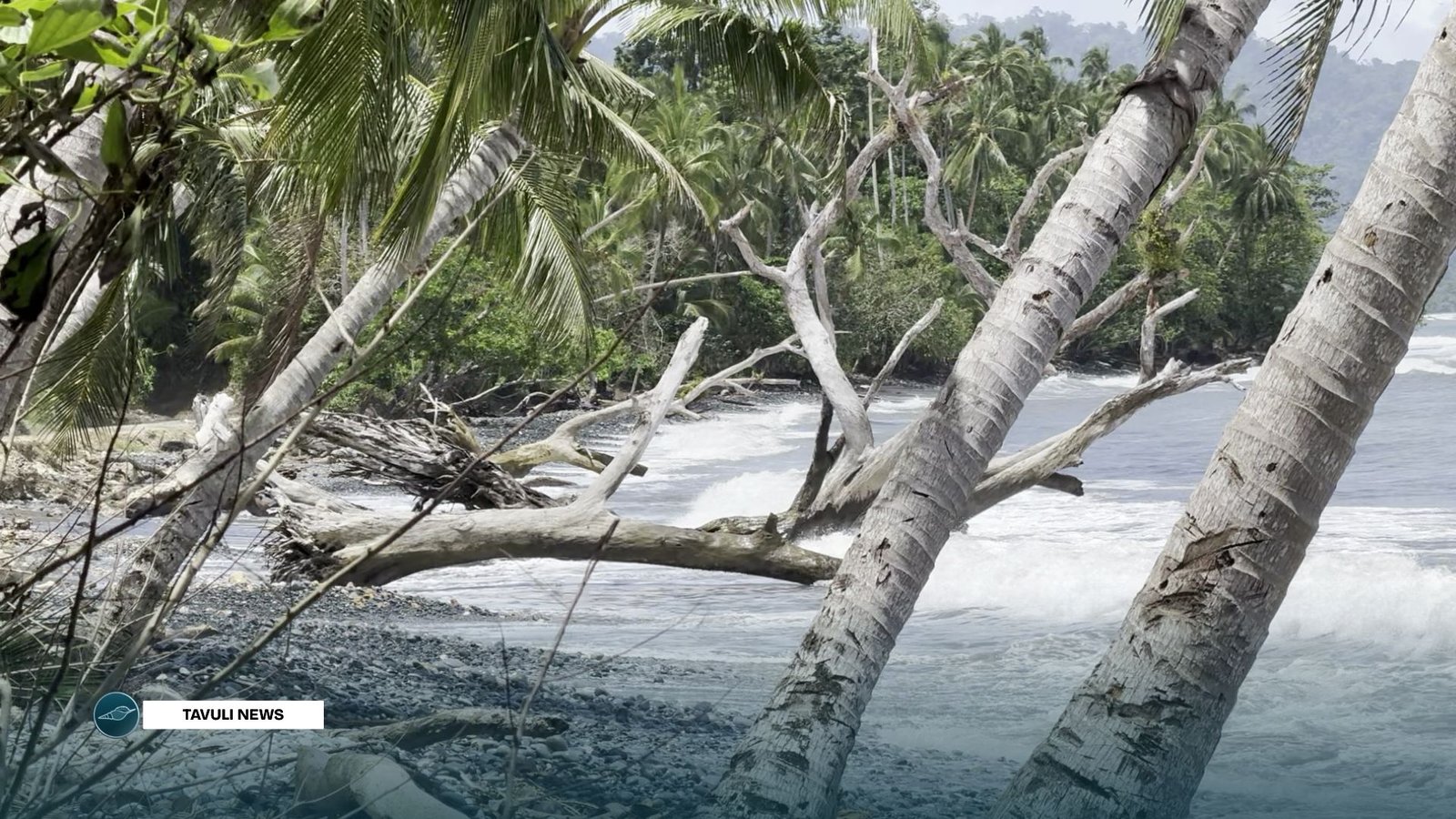 Santa Catalina Faces Growing Climate Strain