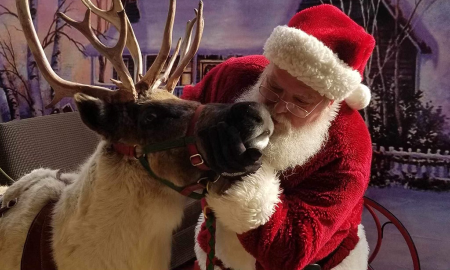 Searcy’s Holiday of Lights Back with More ‘Character’ Than Ever