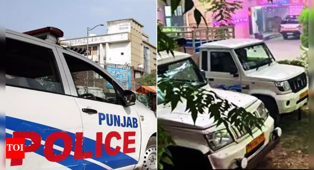 'Silent emergency': Punjab cops hold up newspaper delivery vehicles, draw oppn fire; press club condemns police action | India News