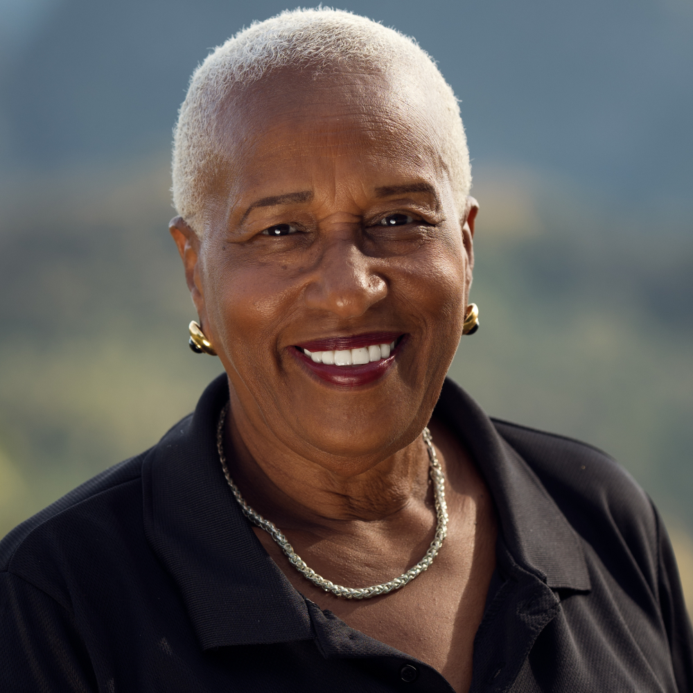 Solar Tours & Travel earns silver medal at Stella Awards