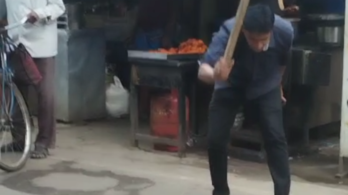 Stray dog beaten to death, dumped in garbage bin; tea shop owner arrested in Mylapore