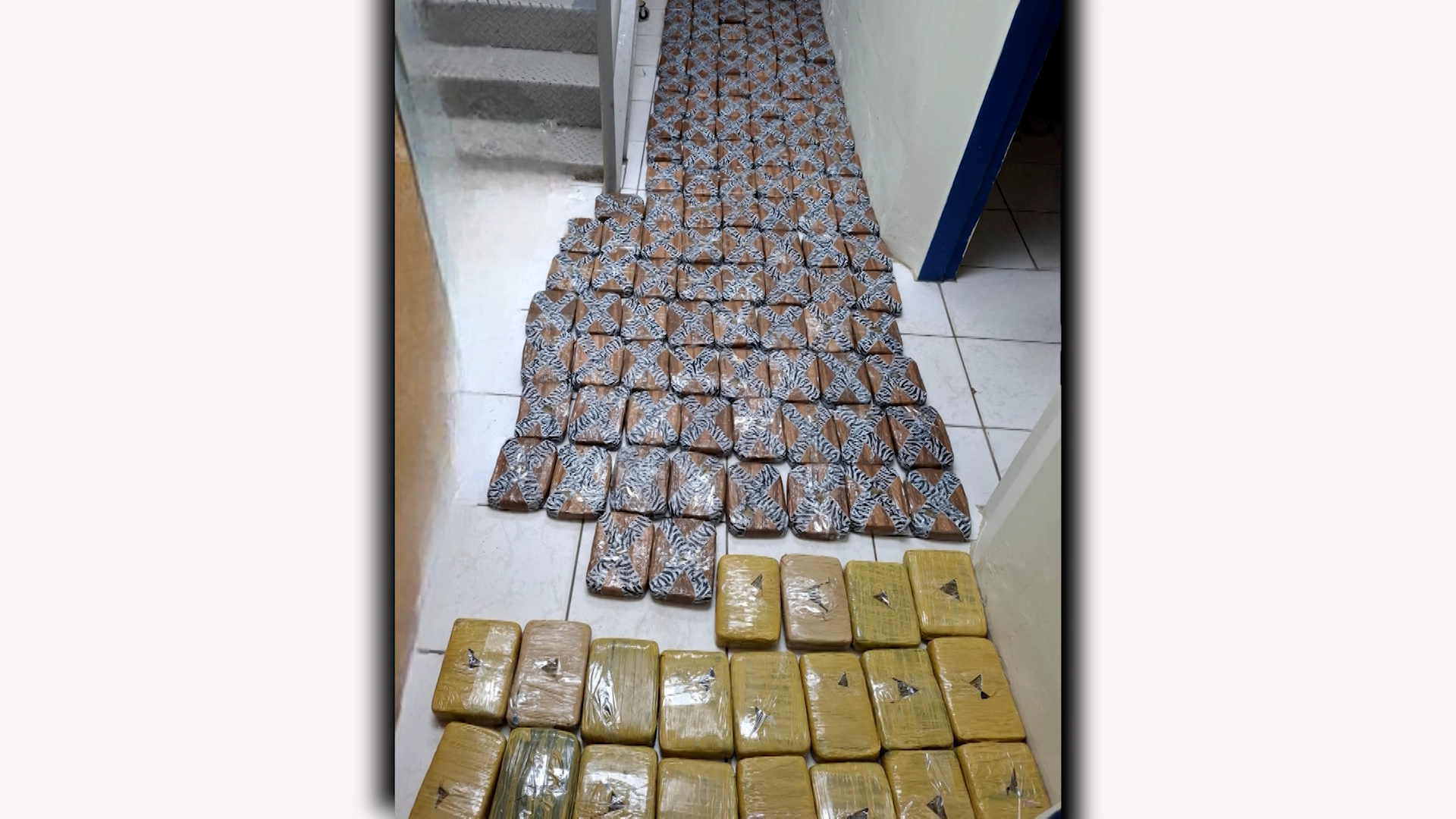 TTPS Seizes $11.9 Million In High-Grade Cannabis in North Central Operation