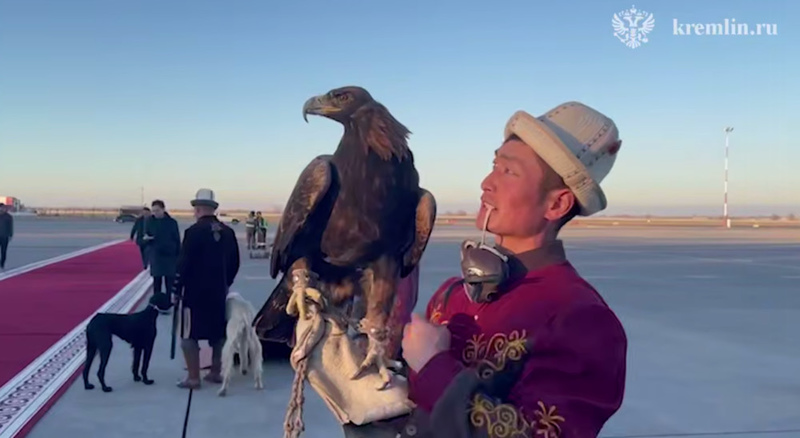 Taigans, golden eagle and dances. Preparations for Putin's arrival underway at Manas Airport