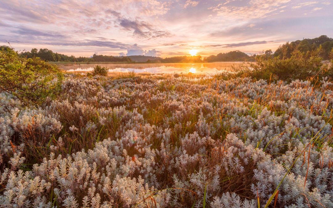 The Collateral Damage of Climate Migration