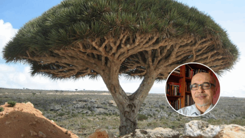 The McGrail Report is Gibraltar as you have never seen it before