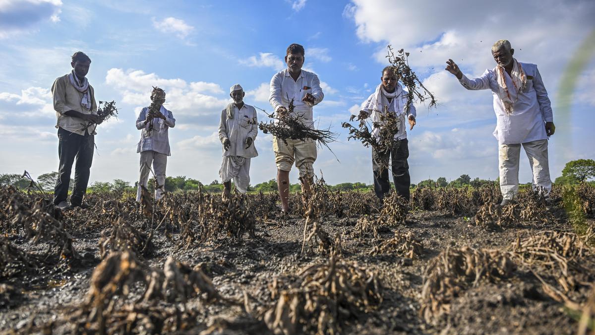 The monsoon beats a menacing retreat in Marathwada