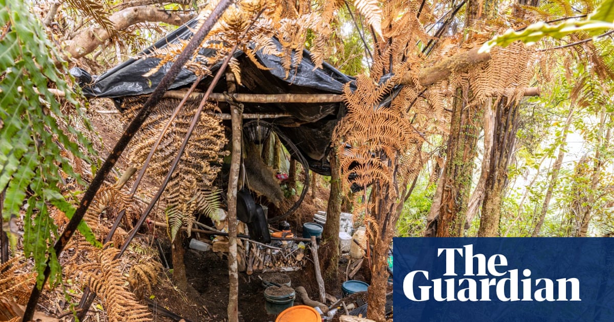 Tom Phillips case: New Zealand to hold public inquiry into disappearance of fugitive father and children | New Zealand