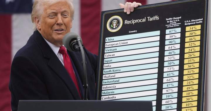 Trump’s tariff powers to be tested by U.S. Supreme Court. What’s at stake? - National