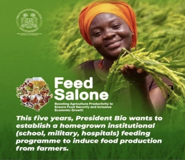 Two years on:Is Sierra Leone marking progress under Feed Salone Project?