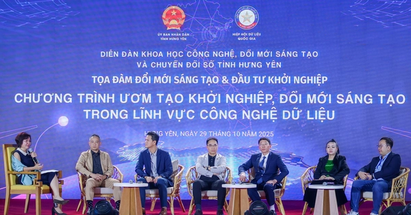 Vietnam should learn from India’s model to build future unicorn: experts