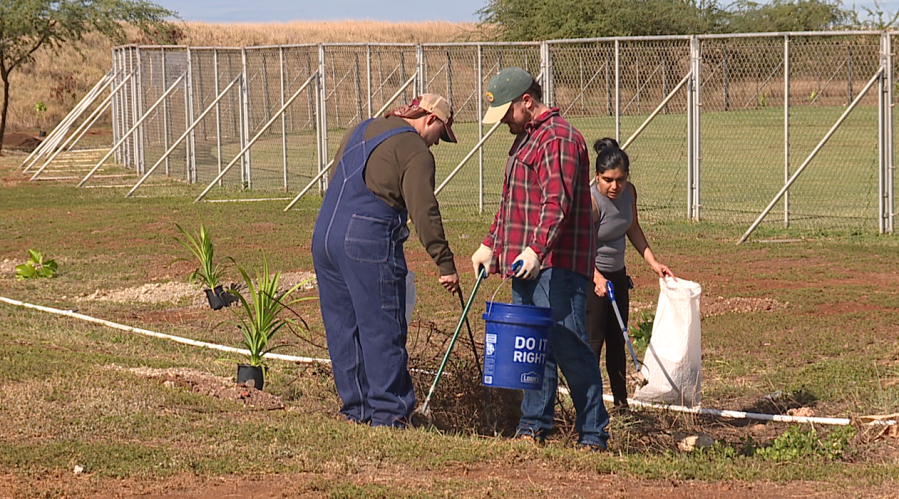 Waikiki Aquarium leads beach clean up at Sand Island