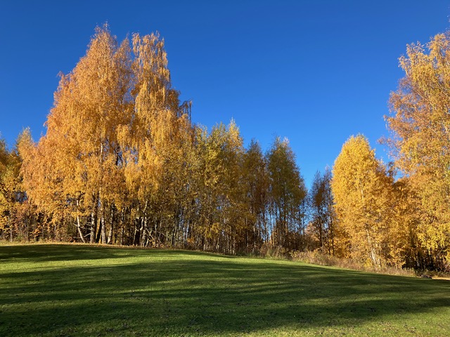 Warm autumn about to end as climate talks continue in Brazil