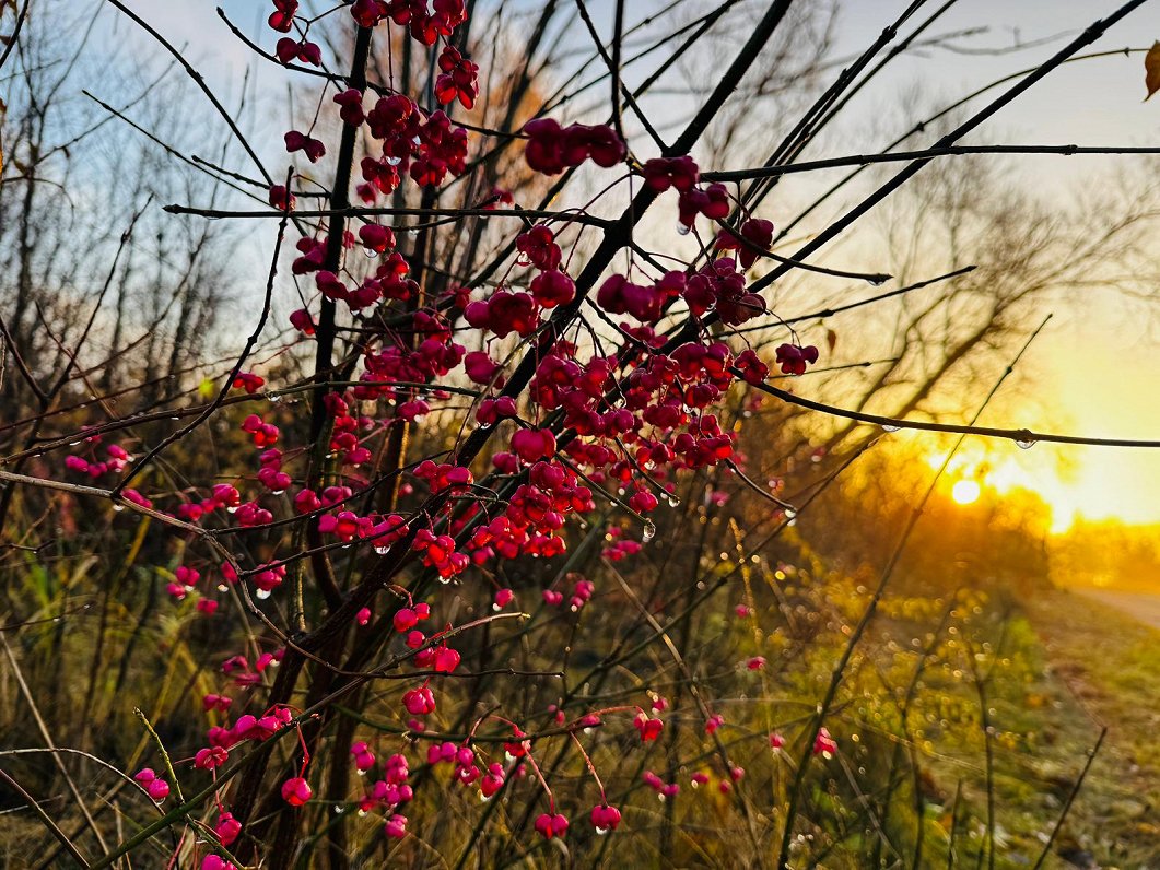 Weekend will be warm in Latvia / Article