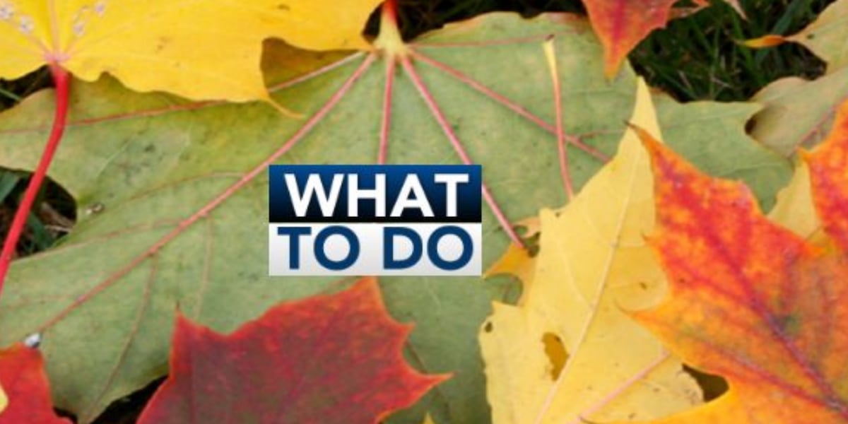 What To Do: Saturday, November 1