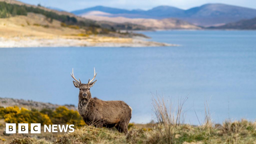 Why the battle still rages over land ownership in Scotland