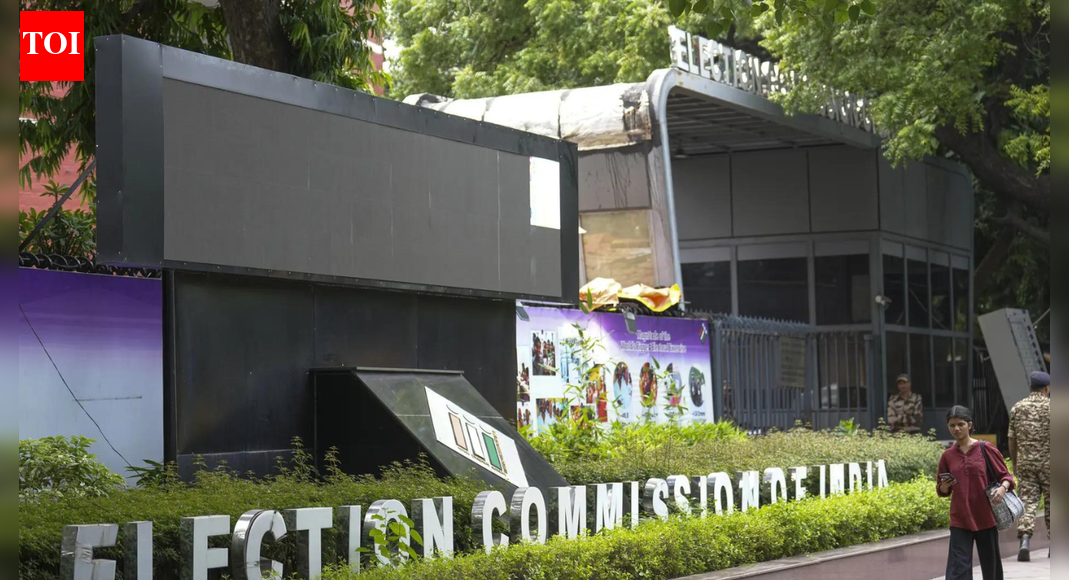 'Work tirelessly at field': EC doubles remuneration of BLOs; hikes pay for supervisors | India News