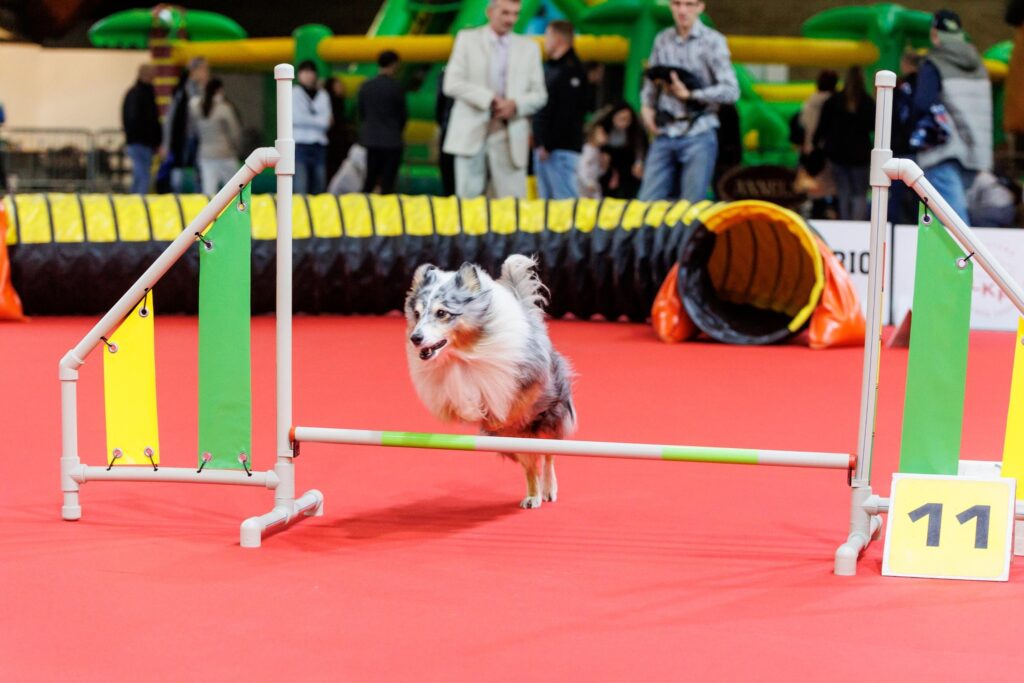 ZooExpo 2025 will take place in mid-November