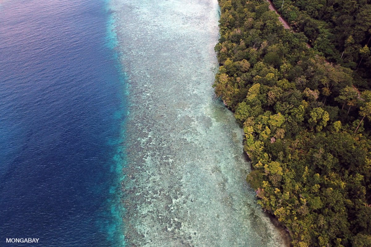 Rainforest, reef, and ocean on Maratua Island, East Kalimantan, Indonesia. Photo by Rhett A. Butler.