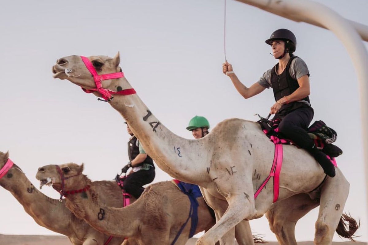 ‘I became a pro camel rider at 40. Here’s why it should be an Olympic sport’