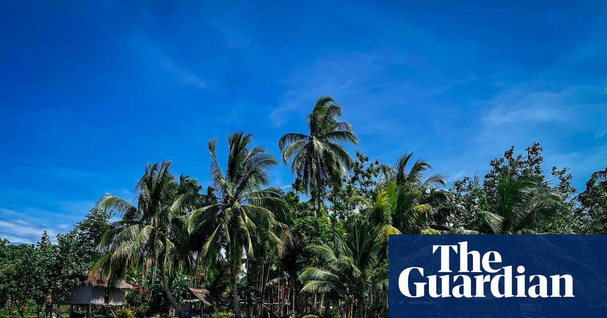 ‘Long on talk and short on action’: Papua New Guinea leader criticises Cop climate summits ahead of Brazil meeting | Pacific islands