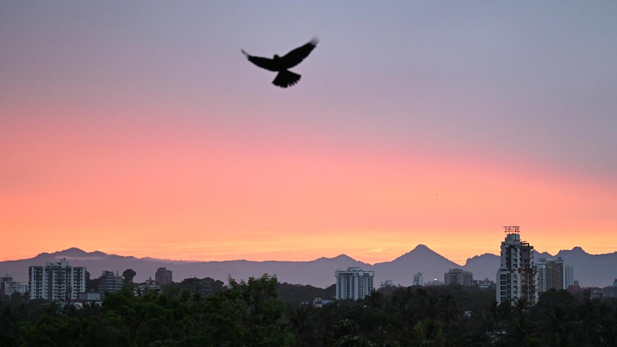 2025 bids adieu with fond memories of seasonal weather