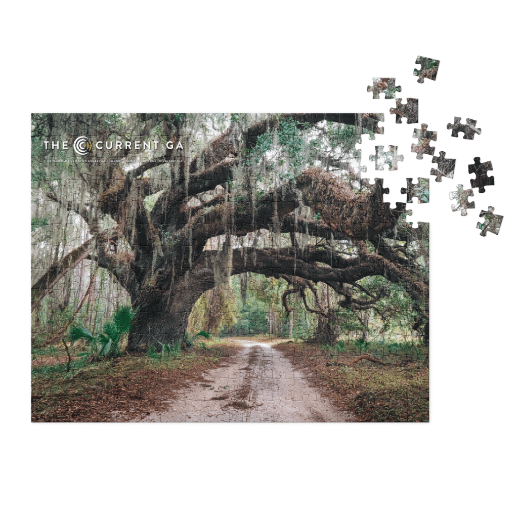 A Holiday Gift Guide for Coastal Georgia