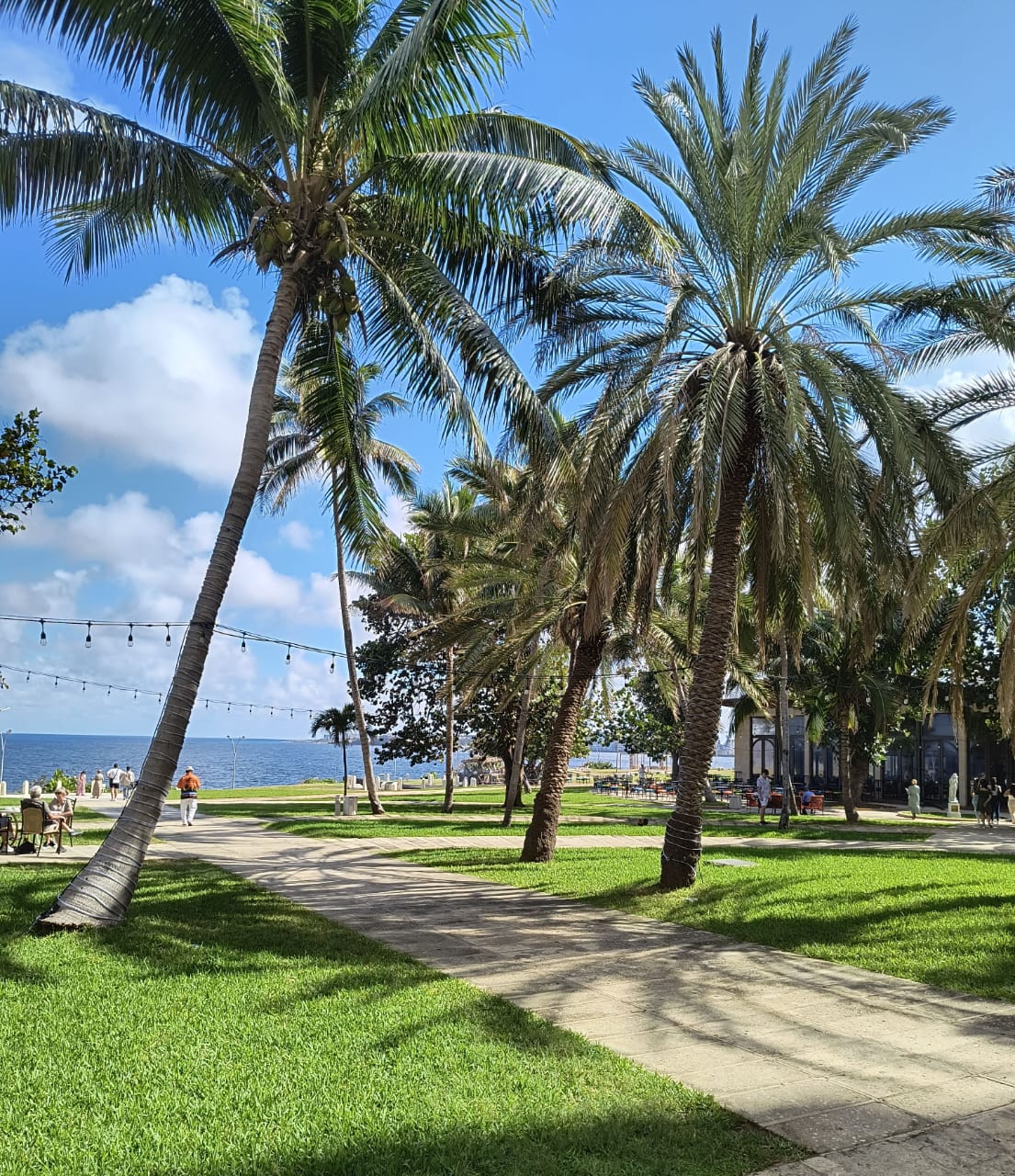 Afternoon at the Hotel Nacional, Havana - Photo of the Day