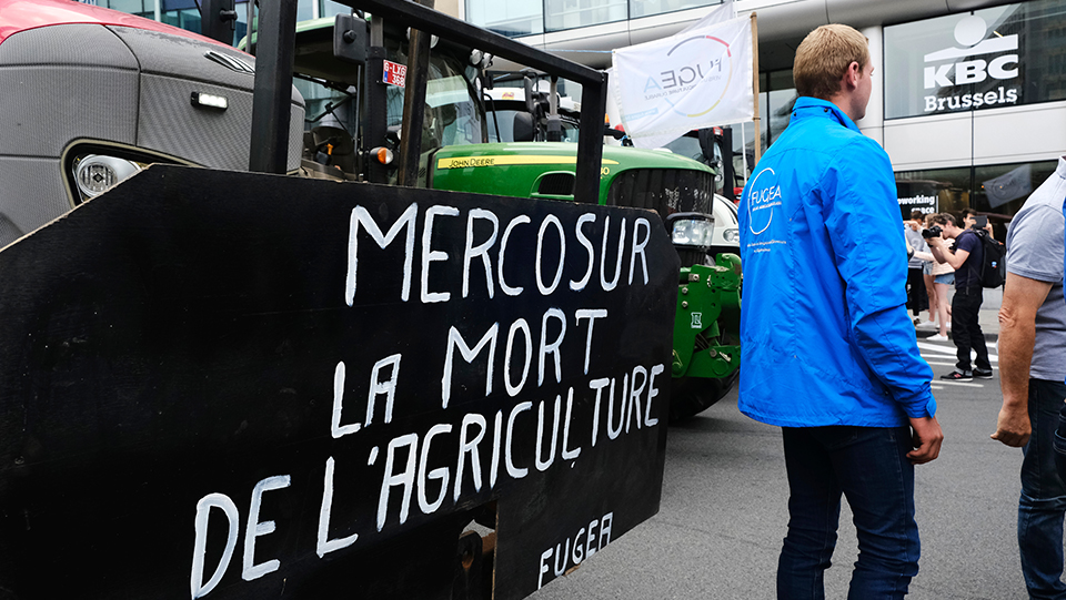 Brazilian beef recall 'death knell' for Mercosur 