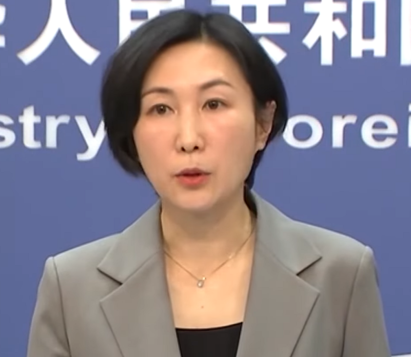 Chinese Foreign Ministry spokesperson in exclusive interview hails Egypt's efforts in Gaza