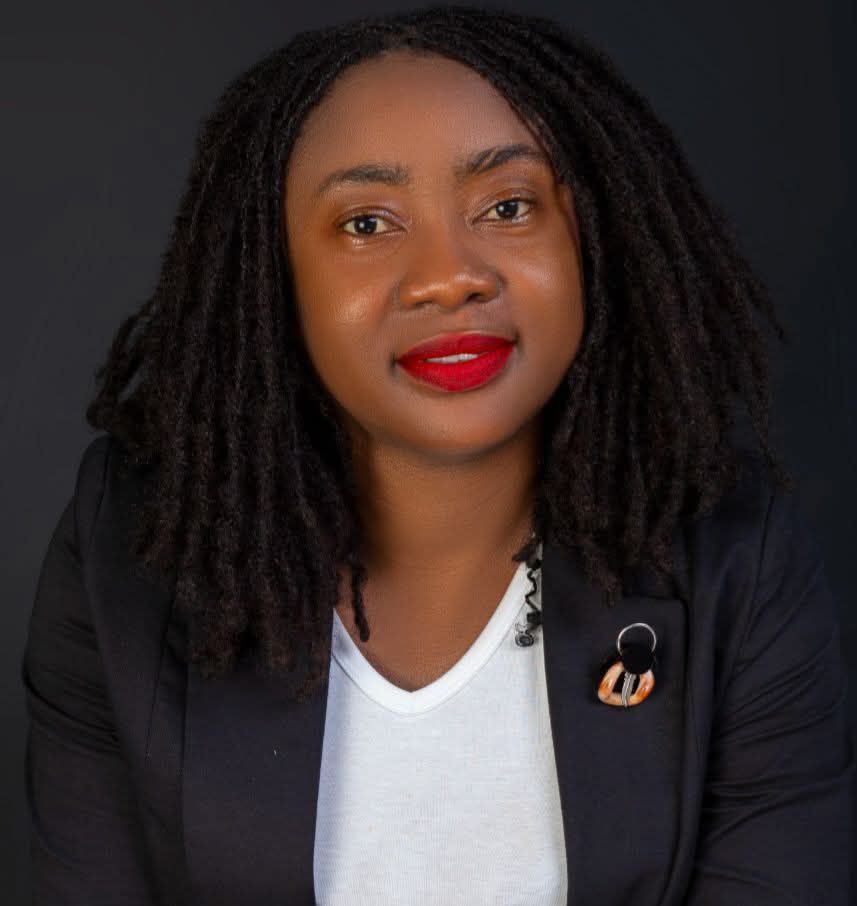 Comparison of Debt-to-GDP Ratios: P5 + Japan and Selected African Countries